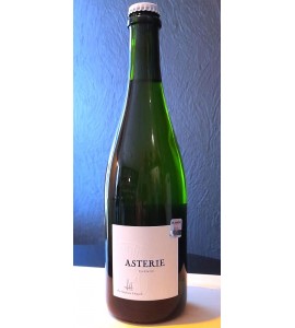 Pétillant Naturel de Bordeaux Brut Nature (Chenin blanc) 2024 CHATEAU SAINTE MARIE 