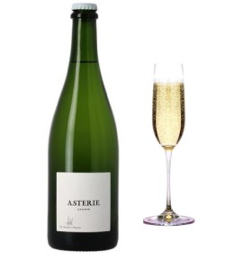 Pétillant Naturel de Bordeaux Brut Nature (Chenin blanc) 2024 CHATEAU SAINTE MARIE 